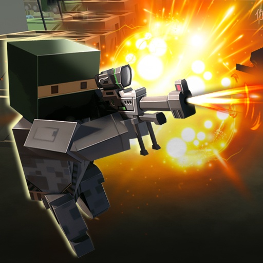FPS Oyunları