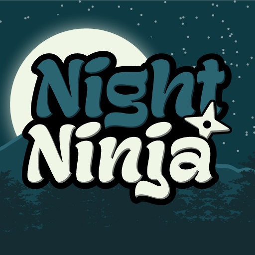 Ninja Oyunları
