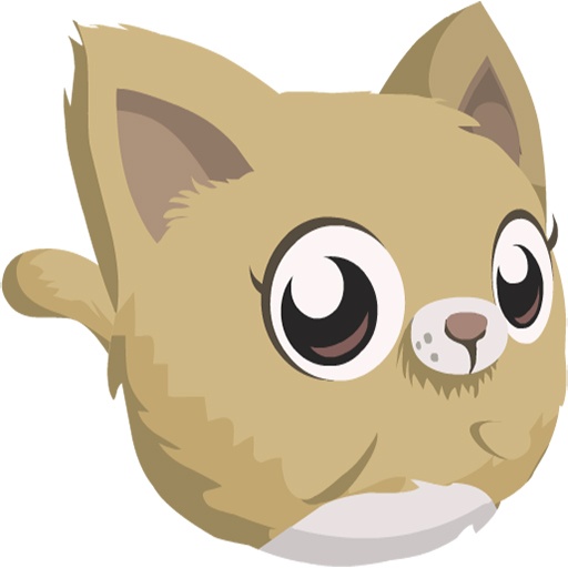 Kedi Oyunları