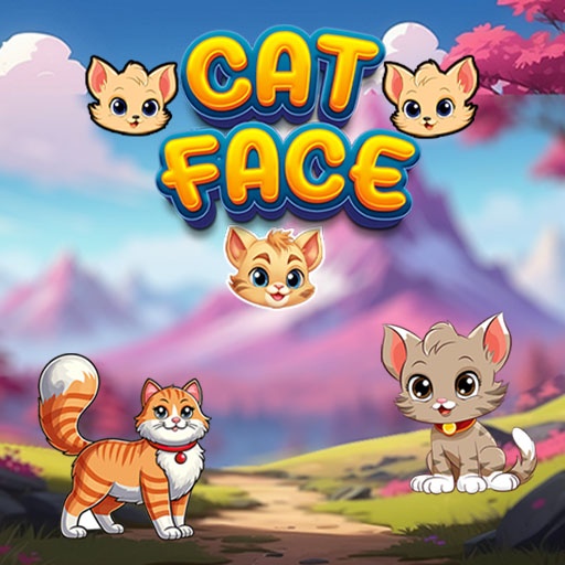Kedi Oyunları