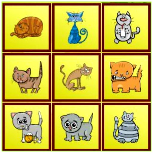 Kedi Oyunları