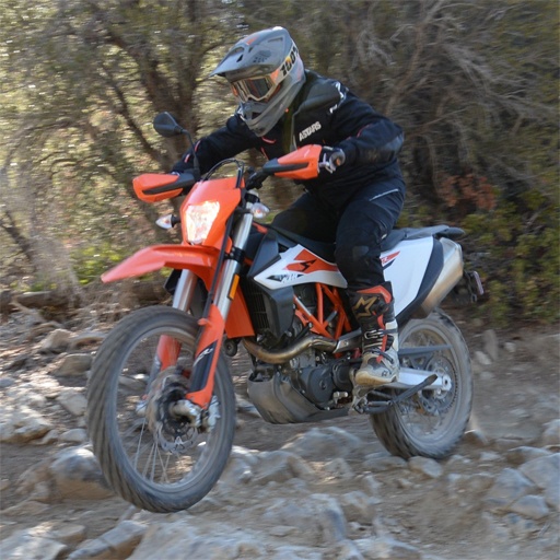 Motor Oyunları
