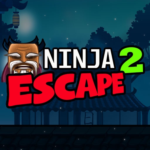 Ninja Oyunları