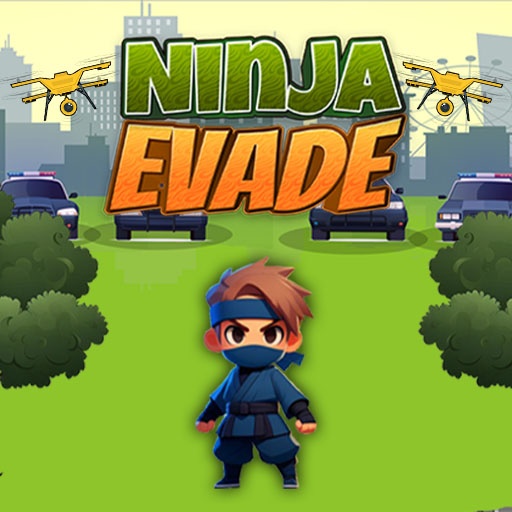Ninja Oyunları