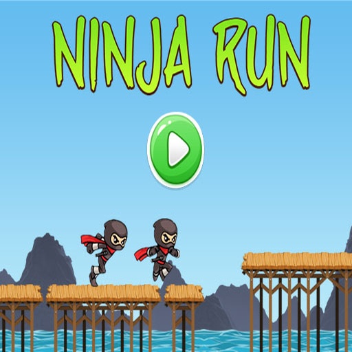 Ninja Oyunları