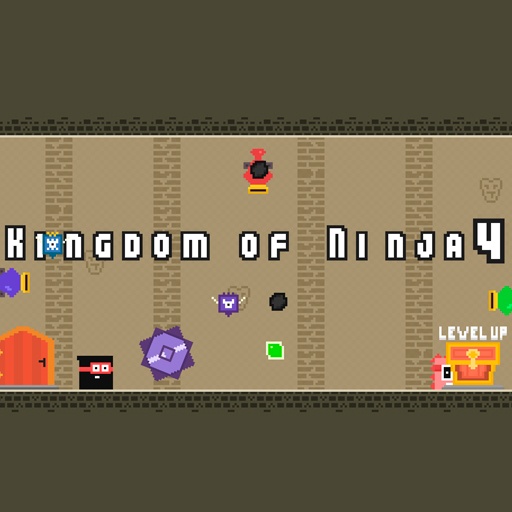 Ninja Oyunları