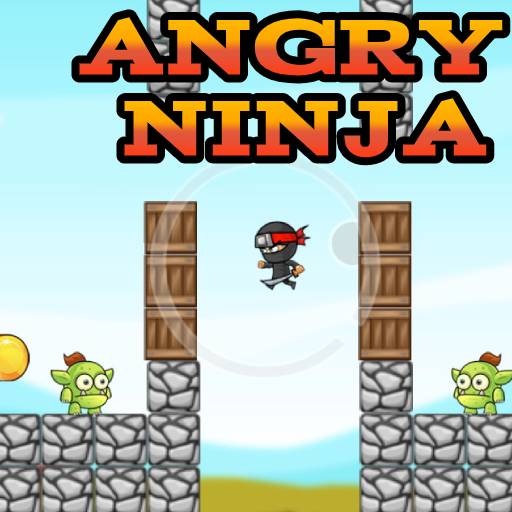 Ninja Oyunları