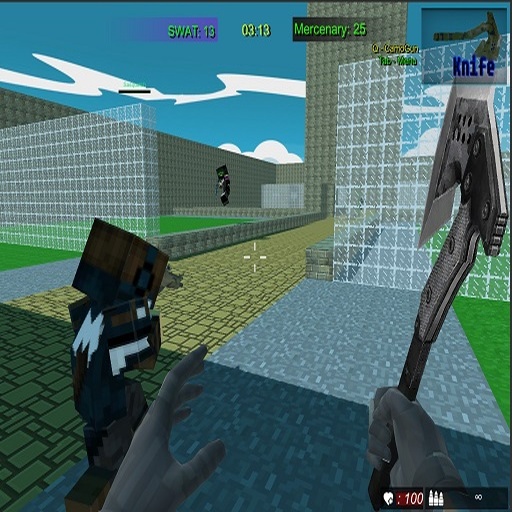 FPS Oyunları